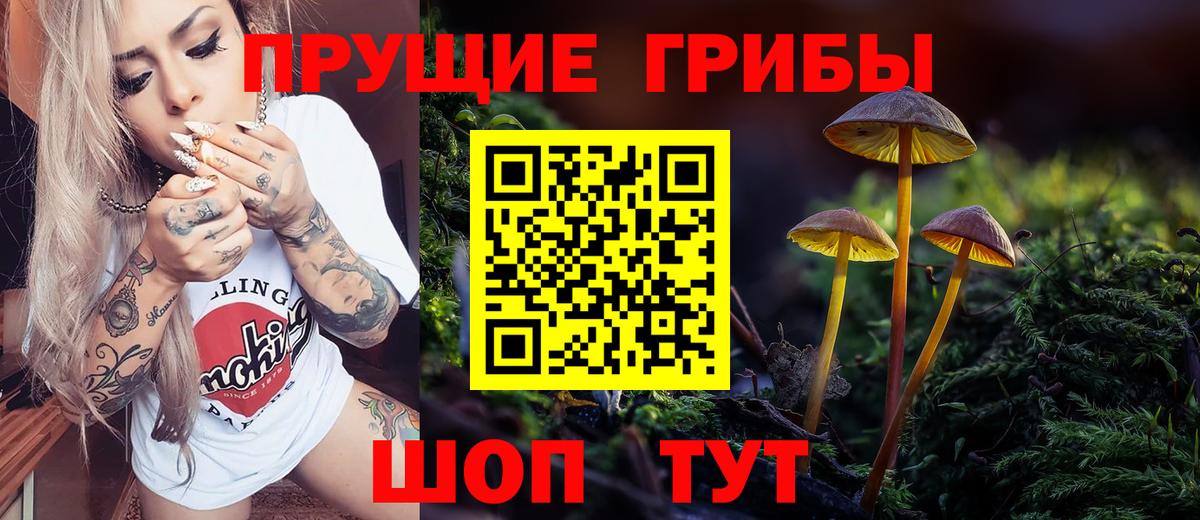 Псилоцибиновые грибы Magic Shrooms  Вход с VPN  Галлюциногенные грибы ЛСД  Выкса 