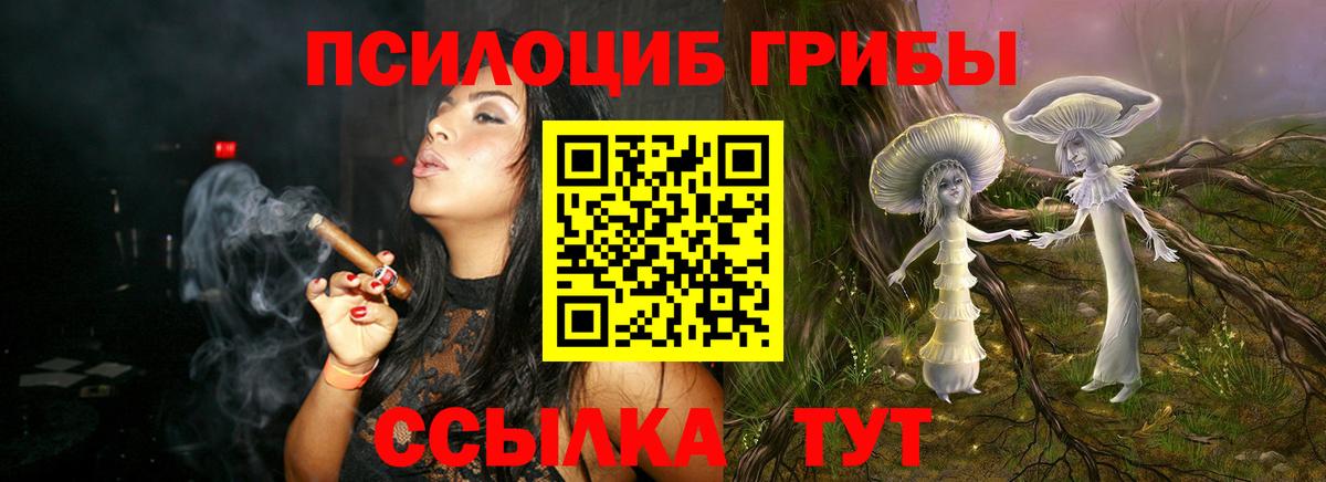 Псилоцибиновые грибы Cubensis Выкса